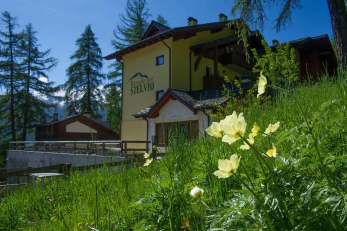 Residence Stelvio