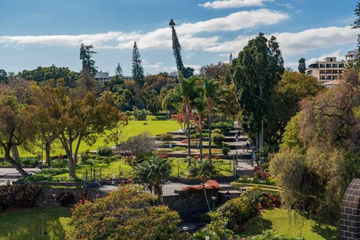 The Mountain Apartment by An Island Apart