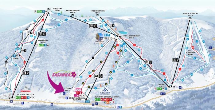 Sasanka przy Gondoli