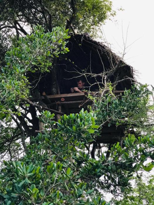 Jungle Tree Hut Anuradhapura Sri Lanka