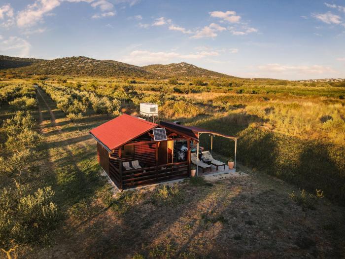 Robinson house Orkula in the heart of olives yard