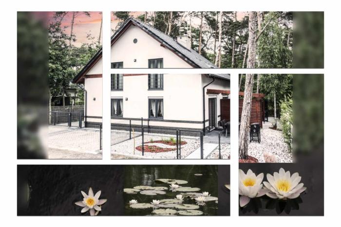 Lily - Sunny Flowers Apartments