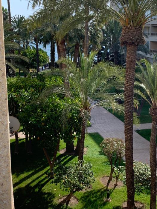 Encantador Apartamento Torrevieja Playa