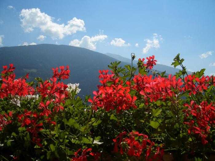 Ferienwohnung Tauberhof