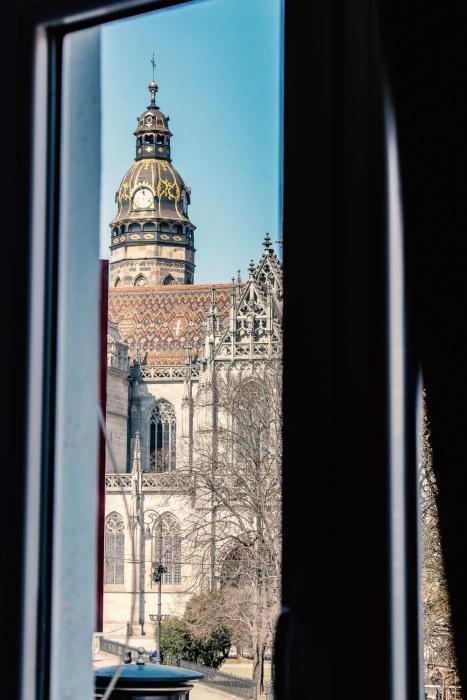 Roth´s Apartment