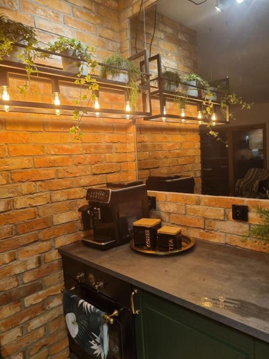 APARTAMENT nad MOTŁAWĄ LUŚKA