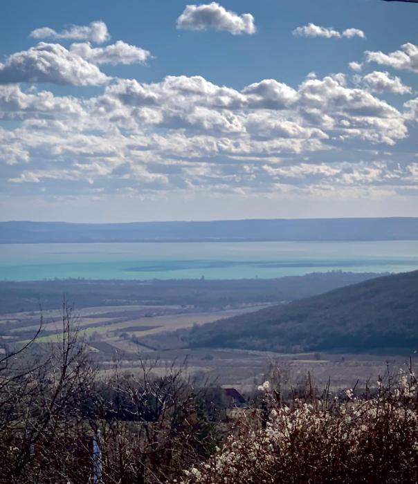 Kiskacsa Nyúlontúl