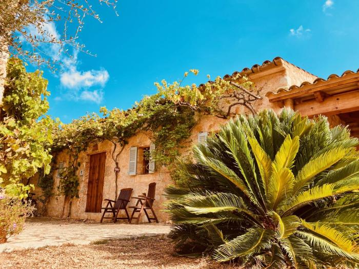 Finca Sa Moleta Nova