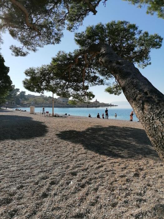 APARTMAN LAURA GALILEO blizu centra i plaze