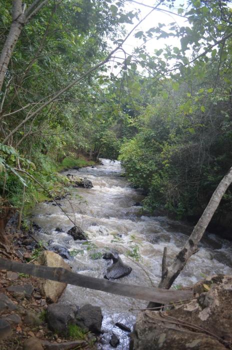 Pacha Waterfront Nithi