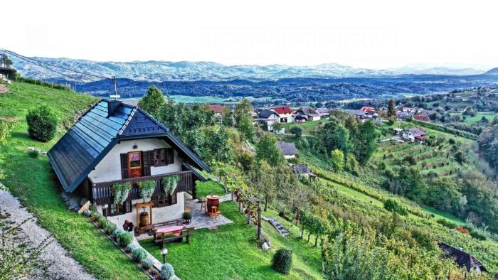 Holiday home in Otocec Kranjska Krain 42903