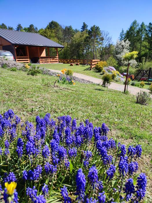 Roztocze, Domek Na Leśnym Wzgórzu nr2,Krasnobród,Zamość, Zwierzyniec, jacuzzi