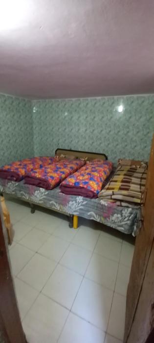 Bagwari House