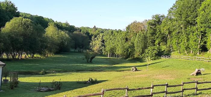 Les saules de queyssac