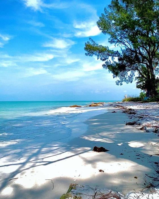 Estero Beach And Tennise Club 1008 B