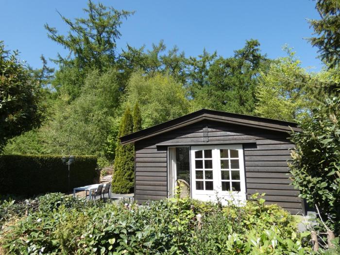 Midden in de natuur, een ruim chalet aan de rand van het bos, nr 30