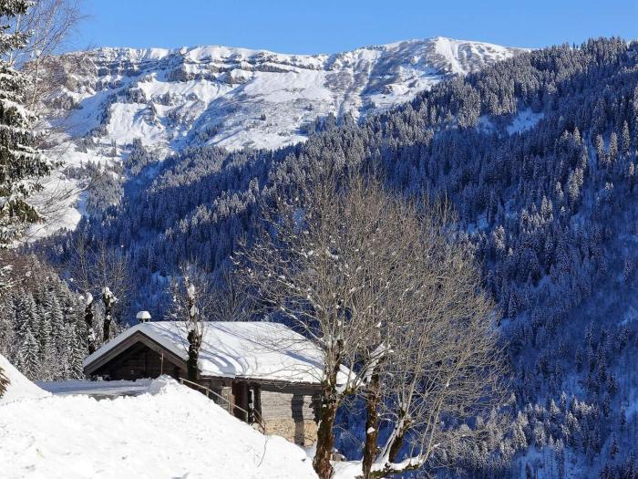 Chalet 3 pièces, 6 pers, 2 km des pistes, plein sud, internet - FR-1-342-158