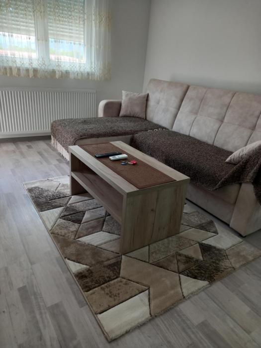 Apartman Vasilije Banja Koviljaca