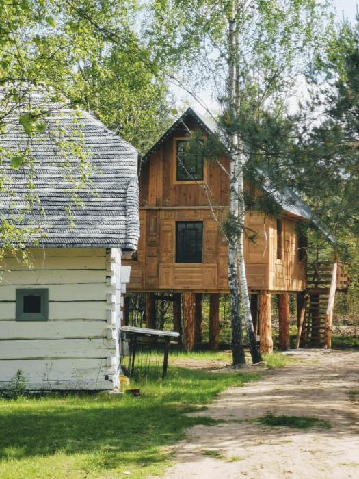 LeśneEcho - domek w drzewach