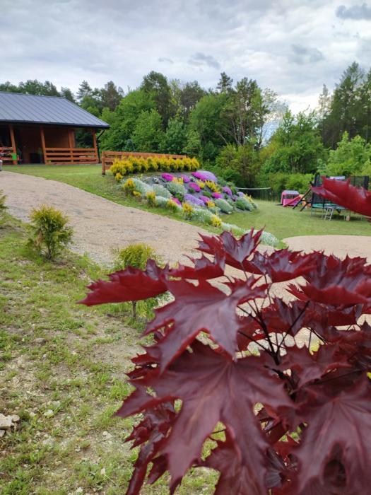 ROZTOCZE, Domek Na Leśnym Wzgórzu, Zwierzyniec, Krasnobród,Zamość