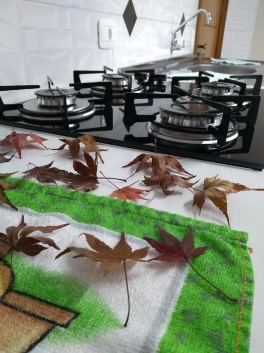 Casa e Flat Conforto Gramado