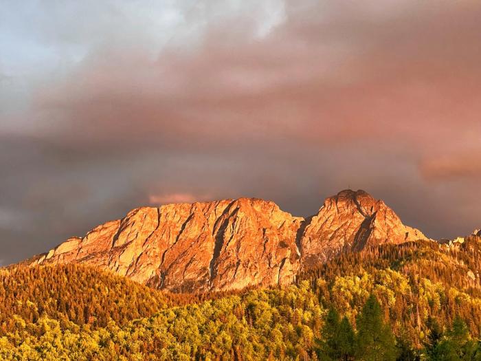 Apartament Leśny z kominkiem - Viva Pod Giewontem Apartamenty