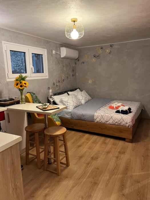 Cozy tiny apartment in the heart of Plaka