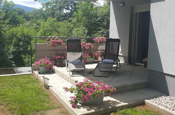 Birdsong Getaway a peaceful, pet-friendly base for exploring