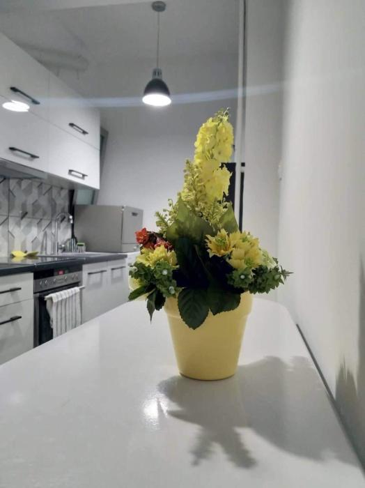 A convenient apartment in the heart of Athens