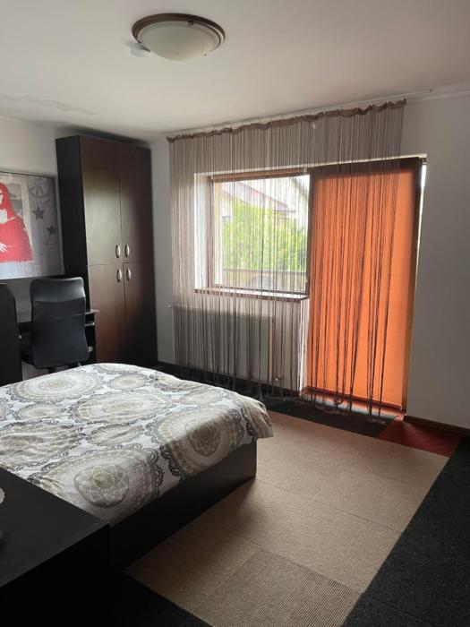 Vila cu trandafiri - Cozy Apartments Studio cu pat matrimonial