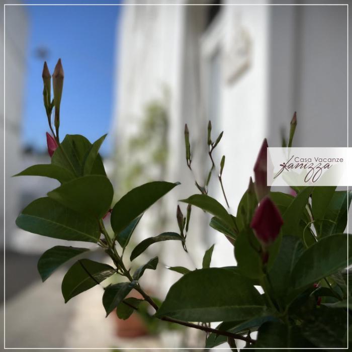 Rebecca e Sofia Stone House affittacamere