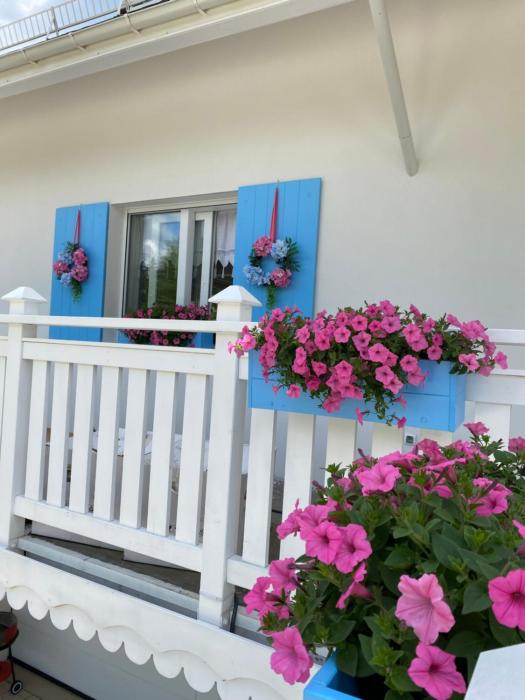 Apt FIONA3 Centrum700m Parking Bezpłatny Monitorowany Salon Tv Sypialnia Tv Łazienka Kuchnia Rekuperacja