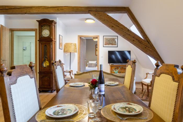 LE RHENANUS Jean Geiler de Kaysersberg - appartement idéal pour famille, au calme - centre ville - parking gratuit