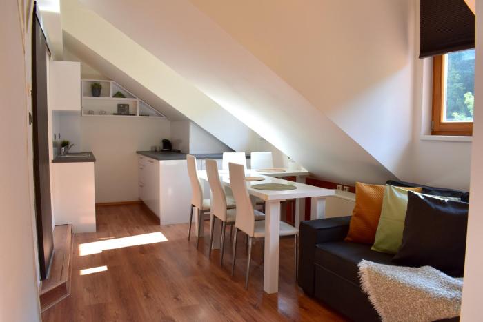 NEW CENTRAL ROOFTOP with private WELLNESS, Sauna & Whirlpool bath