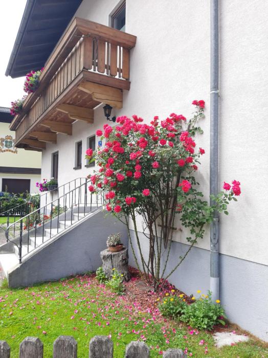 Ferienwohnung Valentin