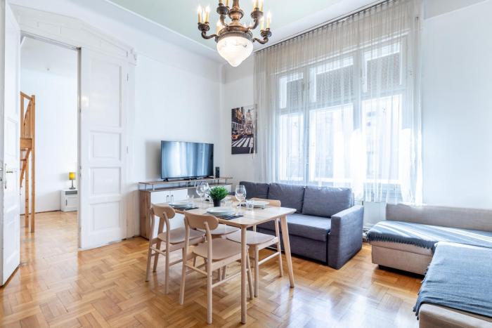 Huge Apartment in the city center