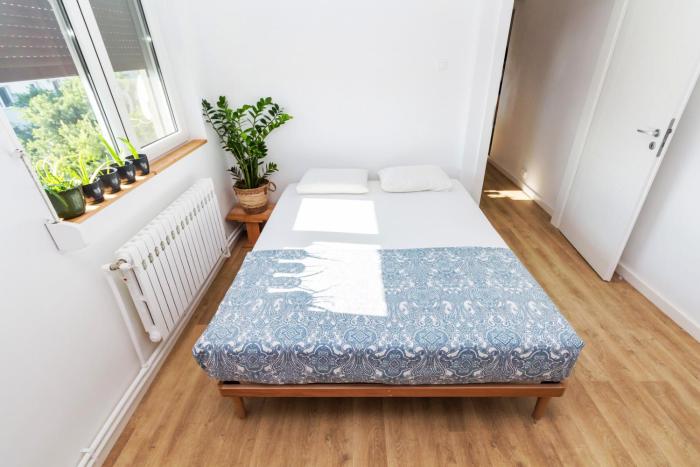 Apartamentul cu plante Etaj 4