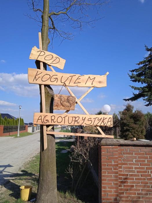 Agroturystyka Pod Kogutem