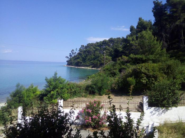 Sea & Forest