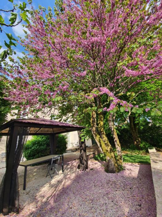 Maison Laurenza 2 chambres dhôtes