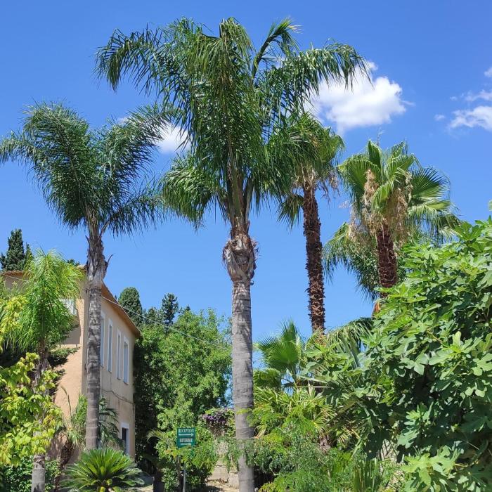 Agriturismo La Calabrisella