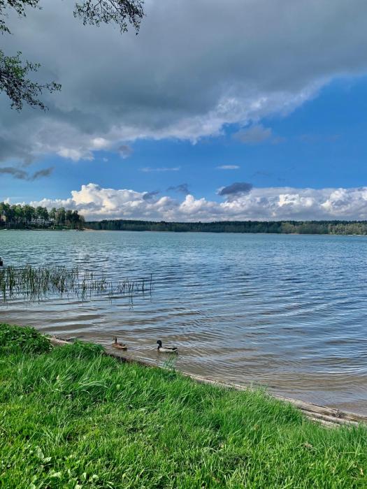 REMAR - Apartments Lake Biale