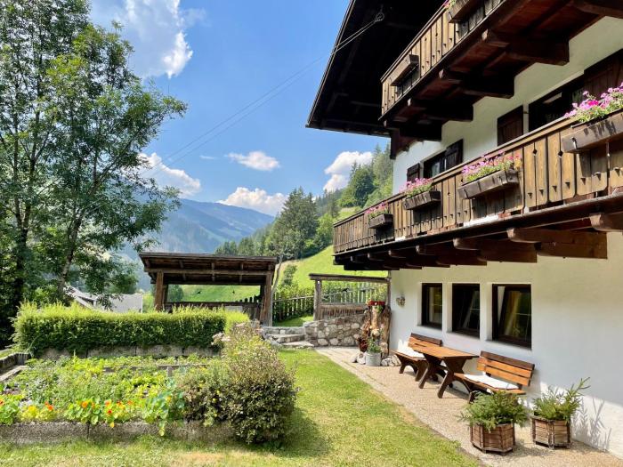 Chalet Forciagn