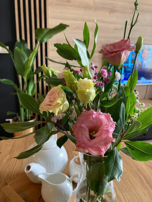 Apartamenty Termalne GREEN Apartment