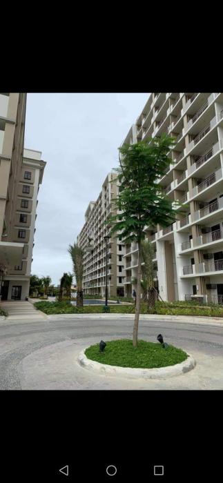 Joeys Place Calathea DMCI