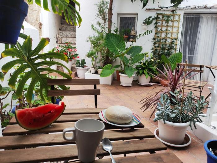 "Apartamento con encanto en Vejer de la Frontera - Besara "