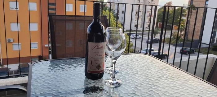 Luxury apartment Stefanija