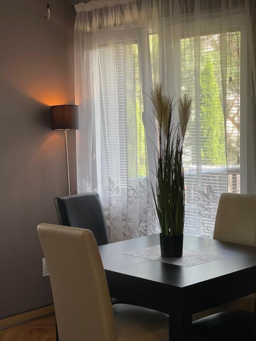 Silver Snowflake - Apartman sa dvoristem