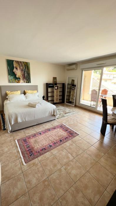 Mari stunning apartment next to Monaco with a sea view terrace