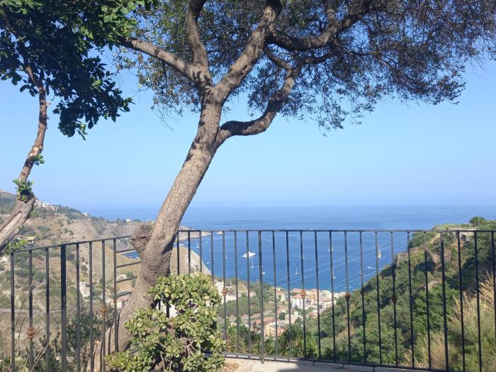 Villa daniela